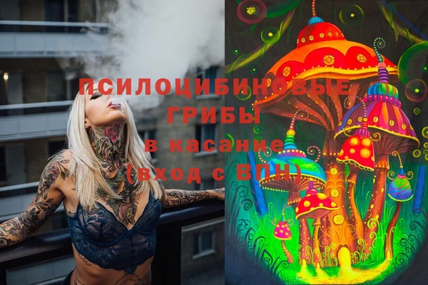 каннабис Бородино
